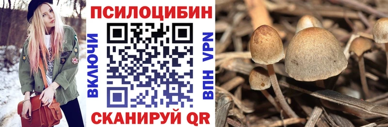 Псилоцибиновые грибы мицелий Семикаракорск